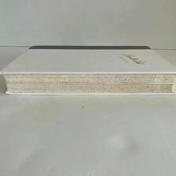 Danielle Steel Wings - Picture 11 of 12